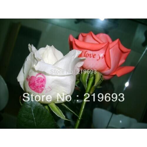 50 sets/lot Free shipping and no need varnish or coating oil,A4 size inkjet clear/transparent water decal paper