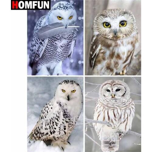 HOMFUN Full Square/Round Drill 5D DIY Diamond Painting "Animal owl landscape" Embroidery Cross Stitch 5D Home Decor Gift