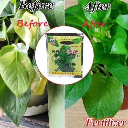 1Pc Rapid rooting powder plant growth regulator for Seedling bonsai tree cutting fungicide rooting hormones foliar fertilize