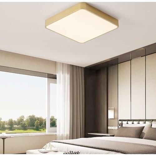 LED Ceiling Light 30*30cm 24W Ultra Thin Modern Acrylic Lamps Lens Single/Double Color Panel Light For Living Corridor Room