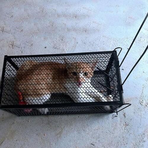 Large Automatic Cat Catching Cage Reusable Animal Cage Trap Bait Snap Rodent Catcher Hunt Weasel Wild Cat Pigeons Dog Rat Cage