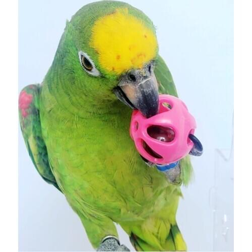 Pet Toy The Bell Ball is Suitable for Bird Rabbit, Guinea Pig and Chinchilla Leisure And Entertainment Plastic Ball