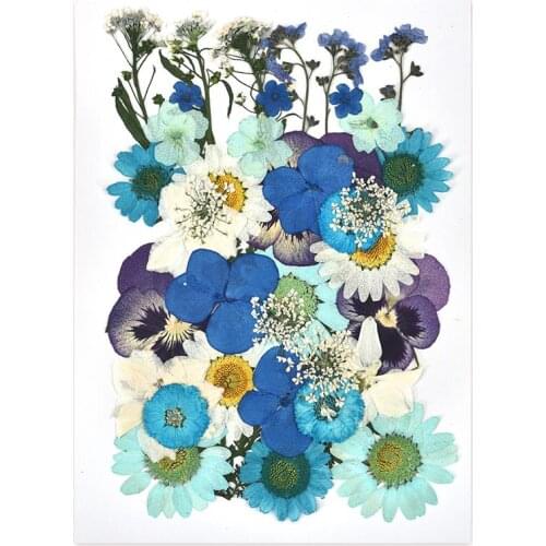 Dried Flower for Resin Mold Fillings Real Flower Making UV Epoxy Mold for Resin Decorative Natural Flower for Jewelry Making