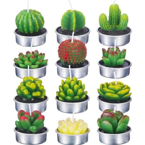 12Pcs/set 3D Cactus Candle Simulated Plant Set Home Decoration Candle Tea Light Decor Garden Simulation Plant Decorative