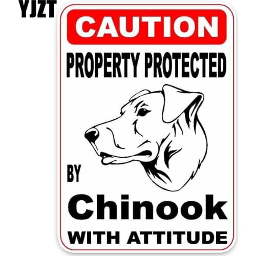 YJZT 10*14.2CM Property Protected By Chinook Dog Car Decoration PVC Car Sticker Decal C1-4597