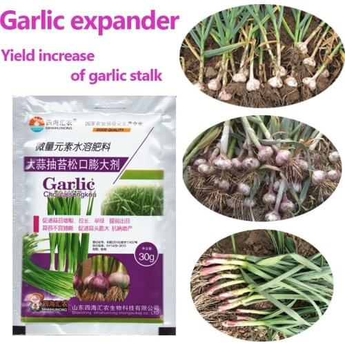 Garlic Stalk Vegetables Promote Elongation Coarsening Swelling Trace Element Foliar Fertilizer Garden Plant Growth Crop Farm
