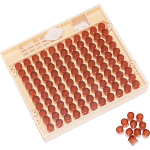 Beekeeping Queen Rearing Cupkit Box 120x Brown Cell CupsSystem Cupularve Tools Bee Keeper Tools Apiculture Supplier