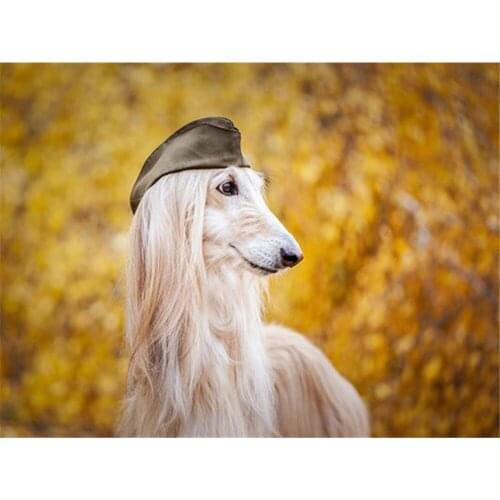 Animal Border Collie DIY 11CT Cross Stitch Embroidery Kits Craft Needlework Set Cotton Thread Printed Canvas Home Wholesale