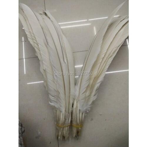 Wholesale 10 PCS / lot 50 to 60 cm in 20 to 24 inches rare white eagle feather free shipping