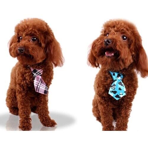 2020 Fashion New Hot Sold Striped Teddy Adjustable Bow Tie Necktie Collar Lovely Dogs Cats Puppy Pets Accessories New Design