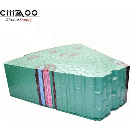 Monocotyledons Stem Model Biological Educational Model