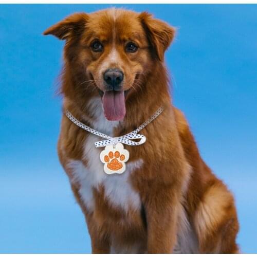 97QE Acrylic Keychain Blanks Keychains for Vinyl Kit with Acrylic Blanks Key Chain Rings for Craft Projects DIY Supplies