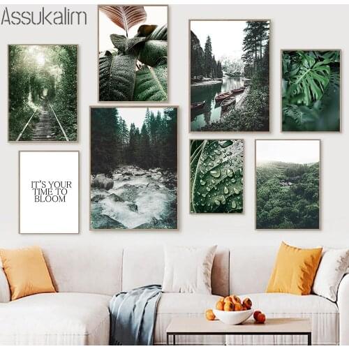 Tropical Plants Wall Prints Stream Canvas Posters Forest Trail Art Painting Monstera Print Nordic Wall Pictures Home Decoration