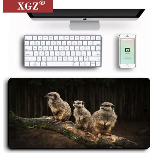 XGZ Meerkat boys gaming mouse pad large notebook non-slip mat suitable for peripheral accessories Russia promotion csgo desk