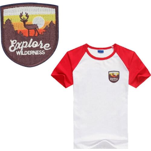 Badge girl tiger Patches For Stripe Clothes Patch A-level Washable Iron On Applique DIY Clothing Sticker