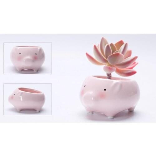 Animal Flower Pots Meat Ceramic Pots Features Cartoon Flower Pot Decorations