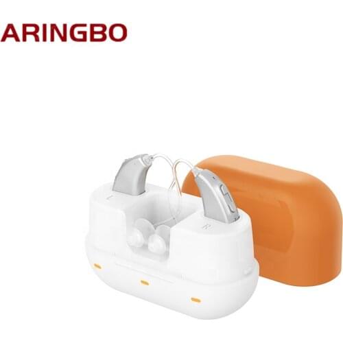 2021 Best Rechargeable BTE Hearing Aid Digital Personal Sound Amplifier for Elderly Mild to Moderate Loss