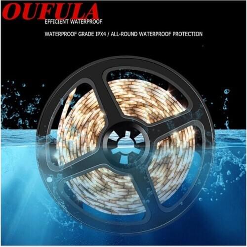 WPD LED Lamp String With USB Human Body Intelligent Sensor Switch Waterproof Cabinet Decoration