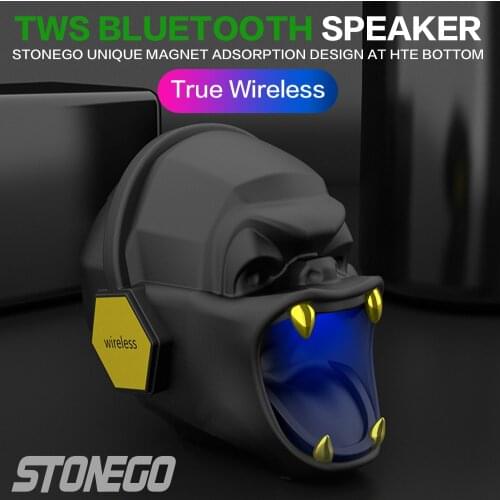 STONEGO Bluetooth 5.0 Speaker, Unique Shape Wireless Speaker HD Sound FM Mode / Handfree Calling / USB / AUX / TF Slot Input