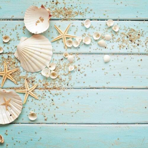 Background Blue Wooden Board Shell Simple Photo Photography Background Cloth birthday Party Props Decoration Wholesale