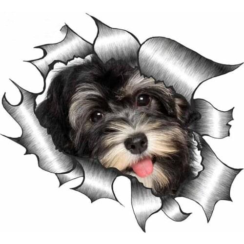 Car Stickers Decor Motorcycle Decals Havanese Pet Dog Puppy Motif Decorative Accessories Creative Waterproof PVC,13cm*12cm