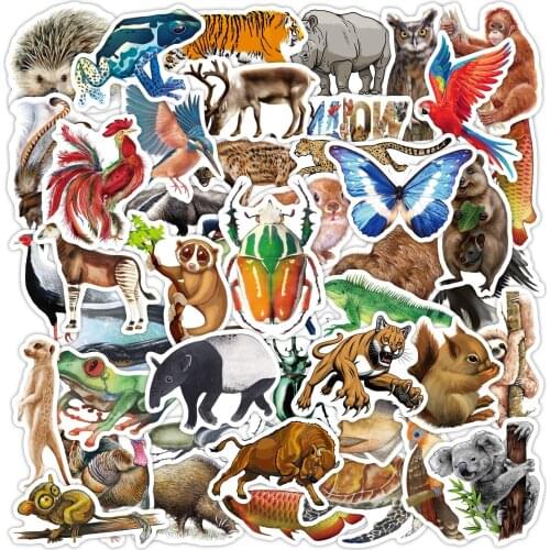 80pcs Rainforest Animals Stickers for Laptop Water Bottle Bicycle Skateboard Waterproof Car Luggage Pack Decal Cool Toys