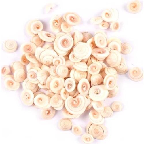 50Pcs 10-14mm No Hole Natural Shell Slicing Beads For Handmade Furnishings Home Decor Seashell DIY Aquarium Fish Tank Landscape