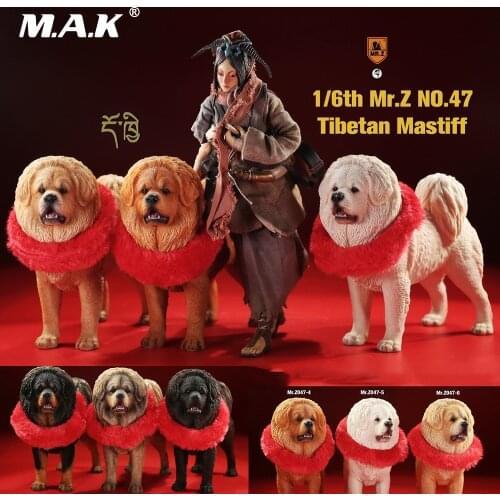 MR. Z Animal Model No.47 1/6th Tibetan Mastiff(all 6 colors) Model Animal Figure Model Toy Scene Decoration Accessories