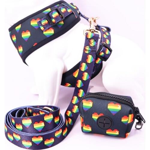 Cute love dog vest harness vest,matching leash with poo bag for pet gift