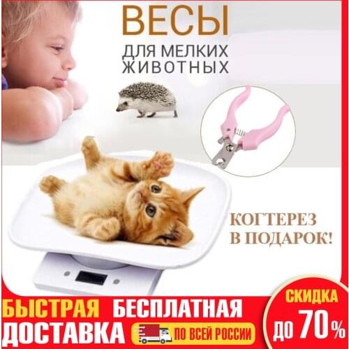 KD Electronic Balance
