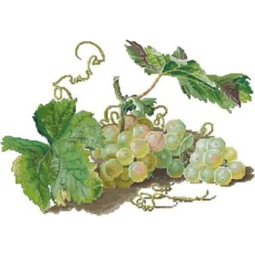 Green grapes patterns Counted Cross Stitch 11CT 14CT 18CT DIY Cross Stitch Kits Embroidery Needlework Sets home decor