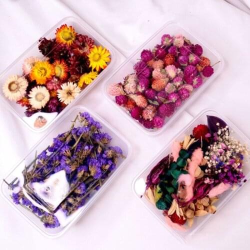 1Box Crystal Epoxy Filler Dry Flower Mixed Nail Stickers Decorations Resin Filling Material Crafts Art Accessories