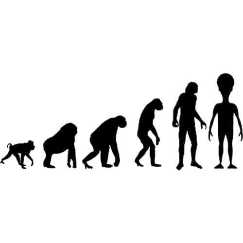 20cm*7.9cm Interesting Alien Evolution Vinyl Decal Car Sticker Black/Silver S6-3362