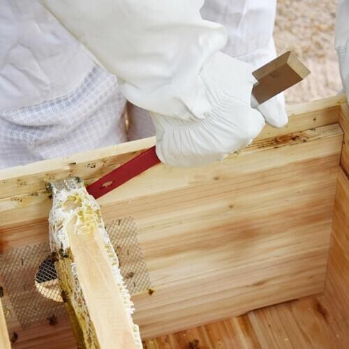 Beekeeping Equipmentc Red 27cm Stainless Bee Hive Tool and Lifter Hook Frame Shape Beekeeper J Tool Knife Scraping Scraper G2X3