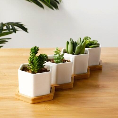 Boho Decor Bamboo Tray White Ceramic Vase Flower Holder Six-sided Succulent Flower Pot with Natural Wooden Coasters Holder Set