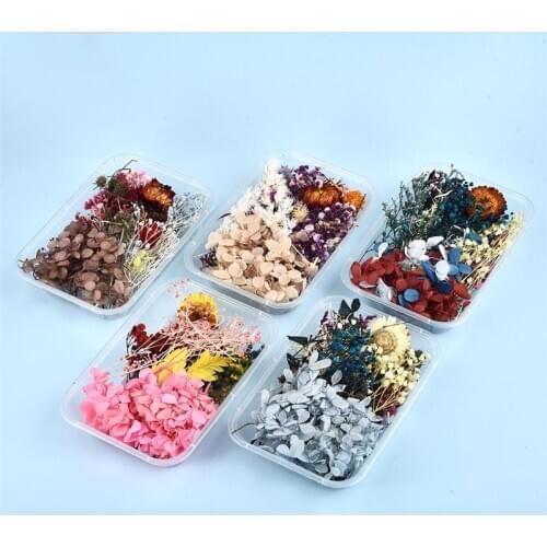 1 Box Multicolor Dried Flower Random Resin Filling Epoxy UV Filler For DIY Resin Jewelry Making Handmade Resin Crafts