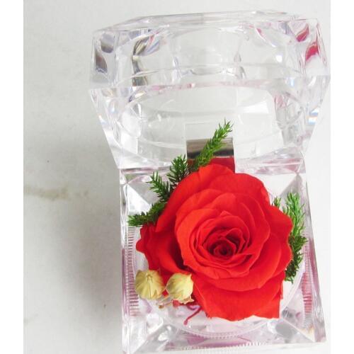 Meldel Immortal Preserved Rose Flower Real Rose Fresh Flowers Decorations Crystal Box Wedding Valentines Birthday Creative Gifts