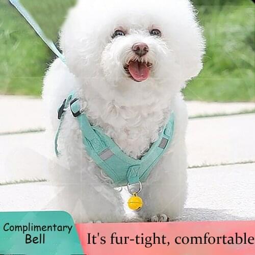 Dog Accessories Dog Collar Dogs Leash Cat Collars Tag ошейник для Cобак Arnes Perro Pequeño поводок для собак Szelki Dla Psa