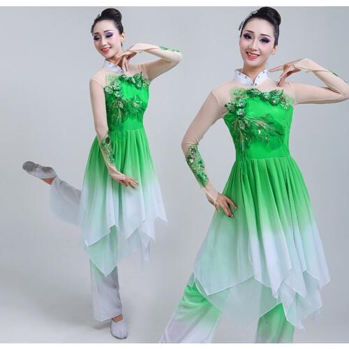 Chinese style Hanfu classical dance costume adult female national dance Yangko performance costume fan dance set