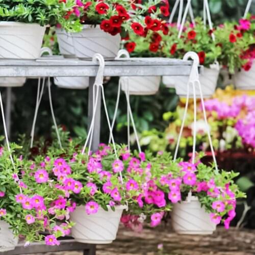 1 Set Flowerpot Breathable No Easy Broken Plastic Ivy Succulents Cactus Hanging Basin for Plants Home Outdoor Garden Supplies