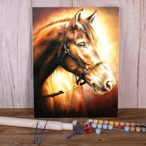 Horse Animal Painting By Numbers Package Acrylic Paints 40*50 Canvas Pictures Wall Decoration Adults Wall Art Handiwork
