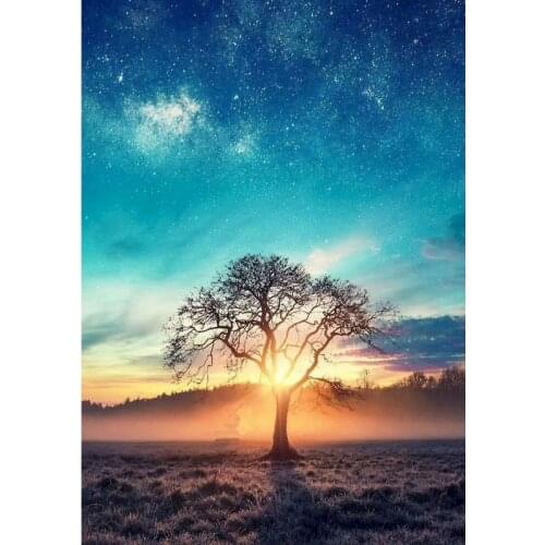 GATYZTORY 60x75cm DIY Painting By Numbers Sunset Tree Coloring Zero Basis Landscape HandPainted Oil Painting Unique Gift Home De