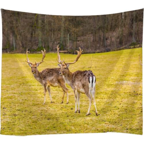 Creative 3D Painting Animal Photographs DEER Tapestry Wall Hanging Bed Spread Beach Towel Table Cloth YogaMat 250*180 Large Size