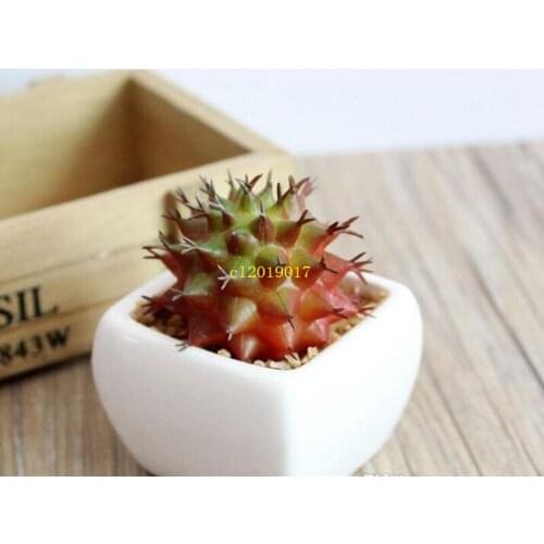 colFnnny Flower Pots