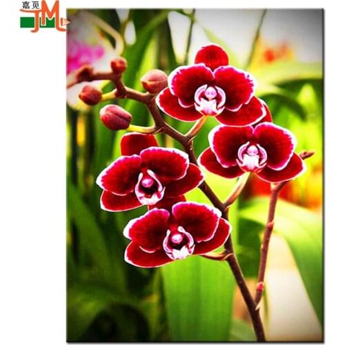 Full Square/Round Diamond Painting Flower Diamond Embroidery Sale Orchid 5D DIY Mosaic Decor For Beaded Wall Stick Cross Stitch