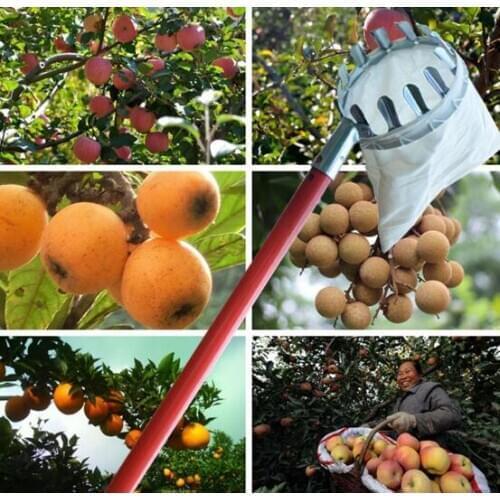 Garden Pruning Fruit Picker Gardening Apples Pear Peach Picking Tool Metal Creatively Long Length Collection Gathering Tools