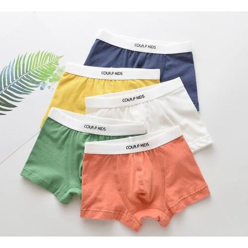 Boys Underwear Children Panties Boys Cotton Boxer Shorts Kids Underwear For 2-16 Years 5 Pcs Cotton Panties