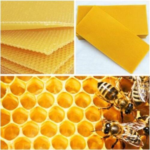1 sheet Honeycomb Bee Wax Foundation, Beehive Wax Frames Base Sheets, for Beekeeping Apiculture Bee Culture