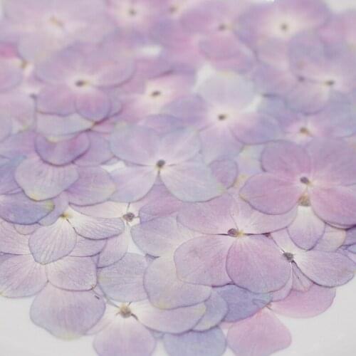 60 Pcs/Set Natural Pink Purple Hydrangea DIY Dried Flowers UV Expoxy Resin Mold Filling Flower Nail Art Pressed Flower