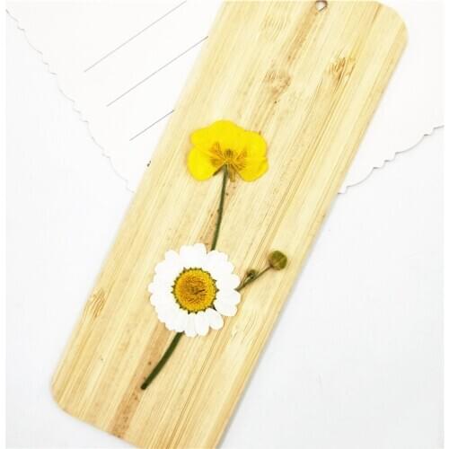 16Dried Flower Pressed Leaf Scrapbooking for Art Card Making Jewelry Resin Decor